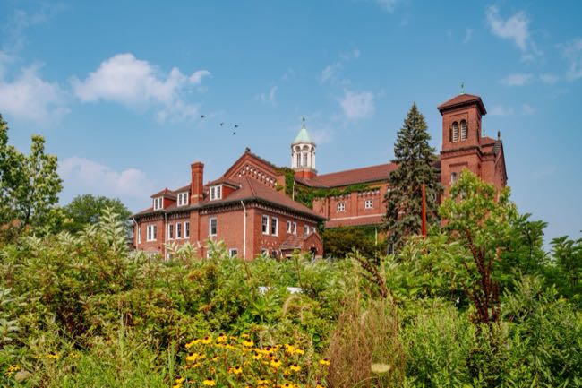 JJ and Anthony Curis, in TIME