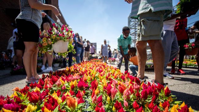 Flower Day brings 80 growers and a full Sunday of plant-hauling to Eastern Market