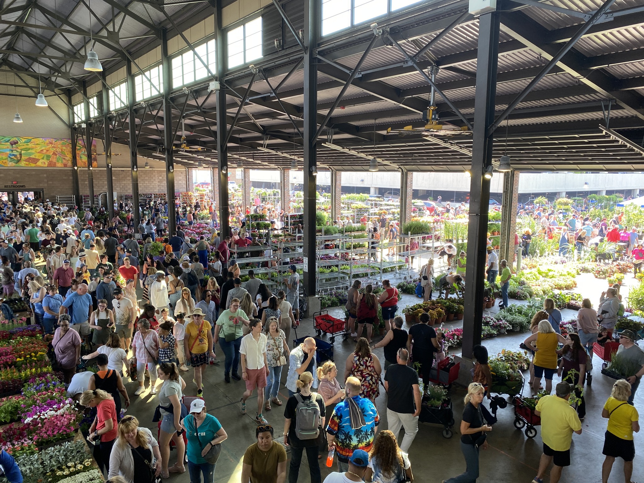Flower Day fills Eastern Market with 80 growers and a city of gardeners