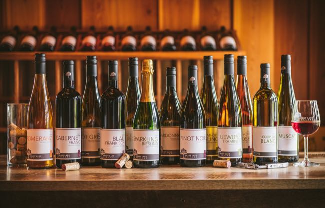 Hamtramck Blowout 2026 dropped the wristband back to twenty bucks and pulled in 130 acts