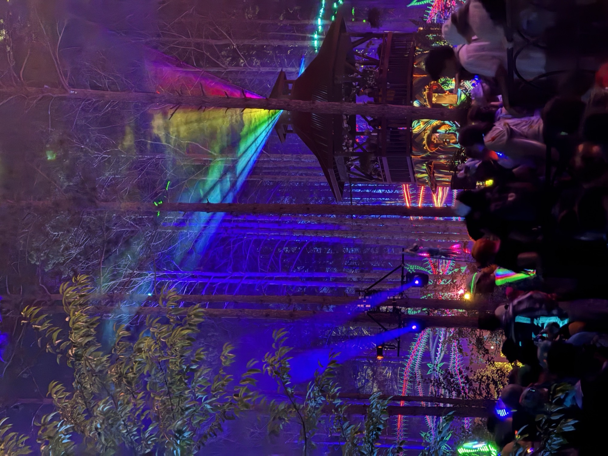 Four hours from Detroit, Electric Forest was worth the drive, storm and all