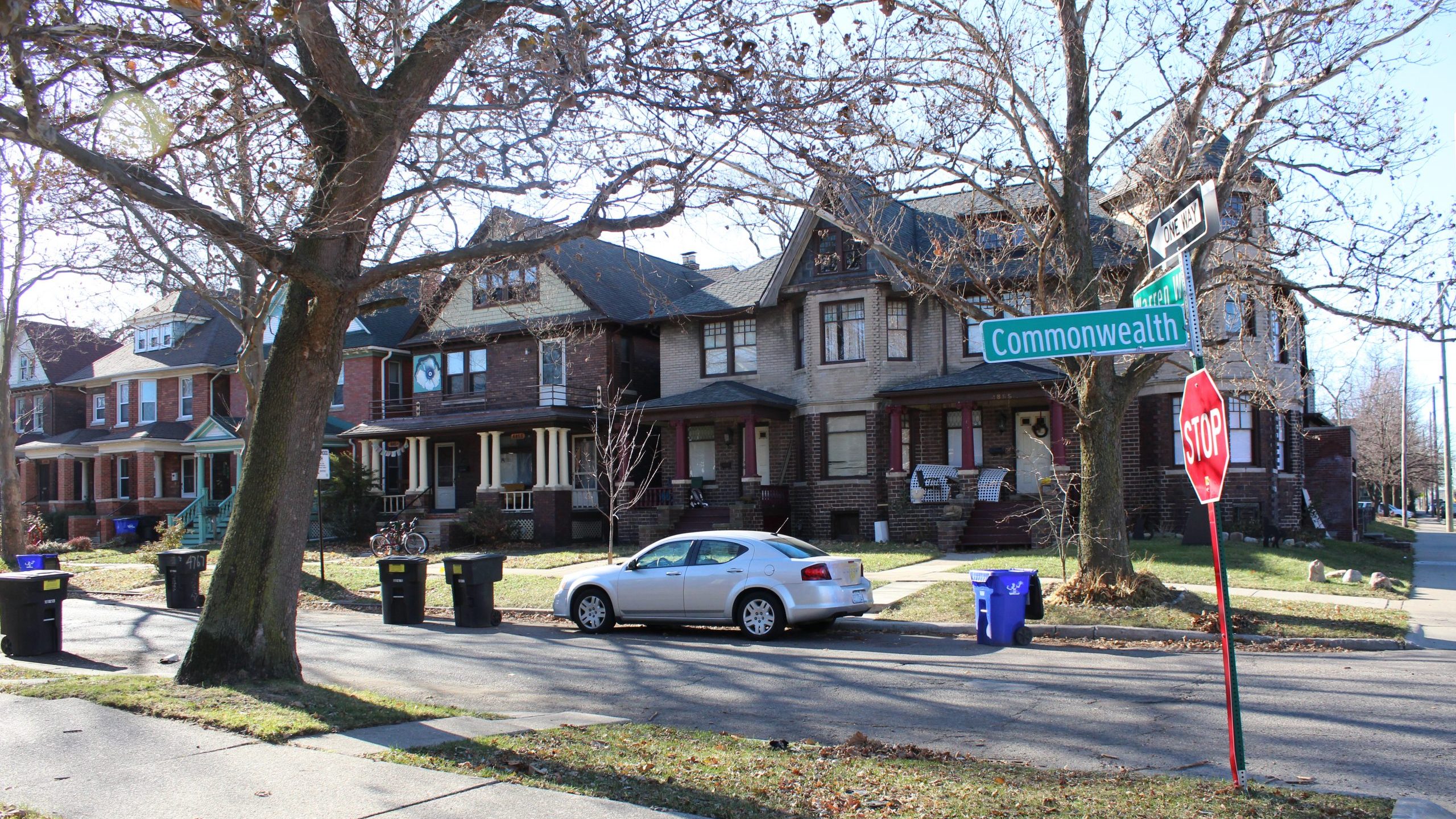 Detroit will plant a free tree on your berm, and all you have to do is ask