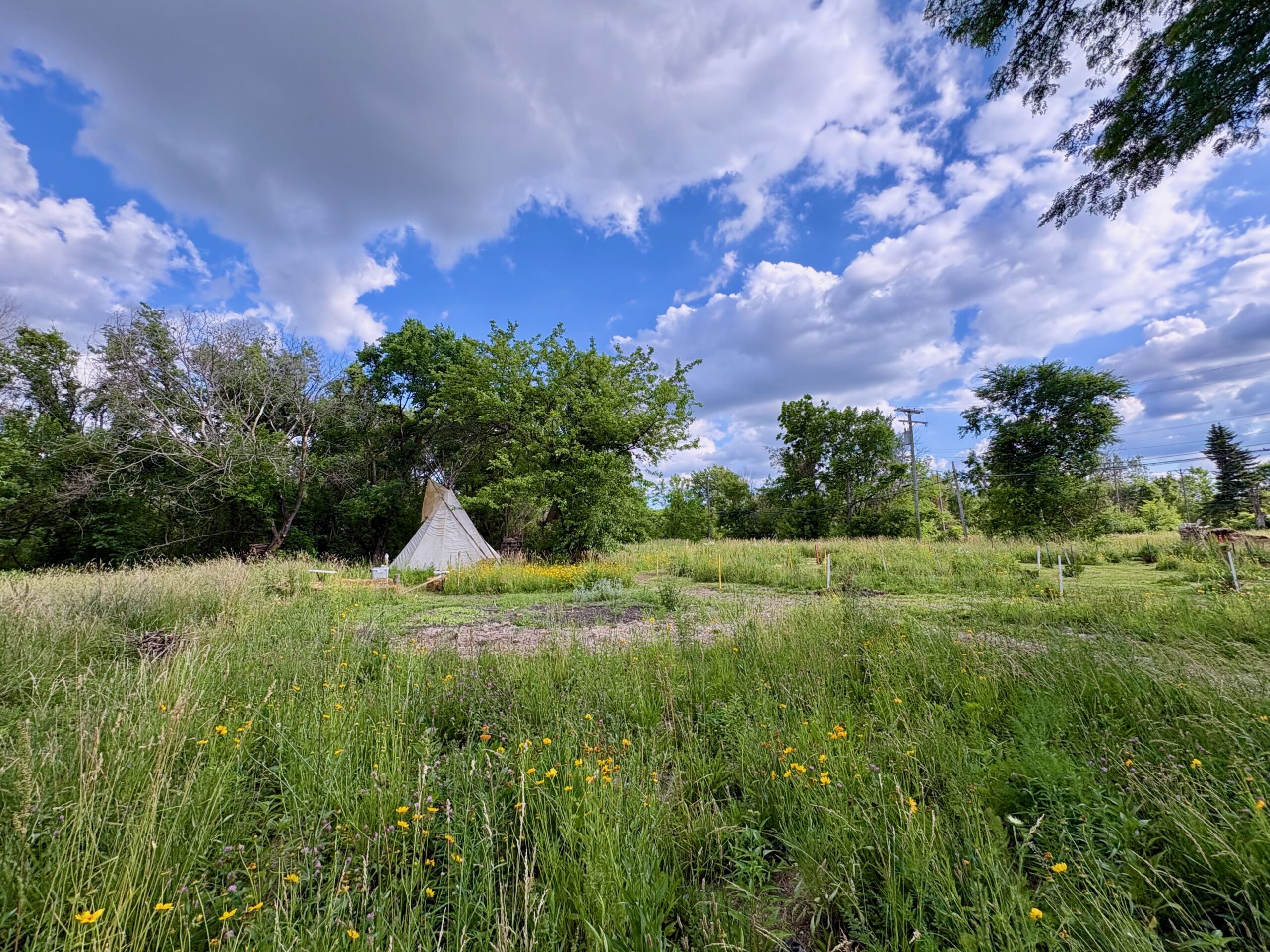 Five Poletown lots become Noojimo'waning, a place of healing under Anishinaabe stewardship